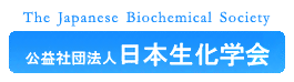 日本生化学会ホームページへもどる